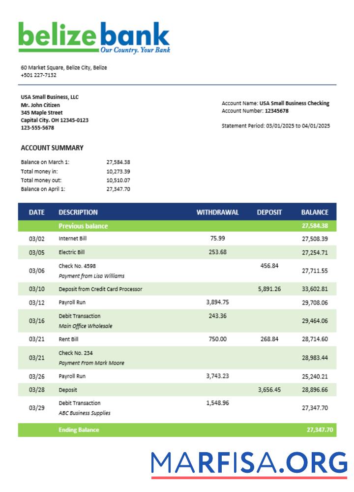 Realistic Belizean bank company checking account statement Word and PDF template